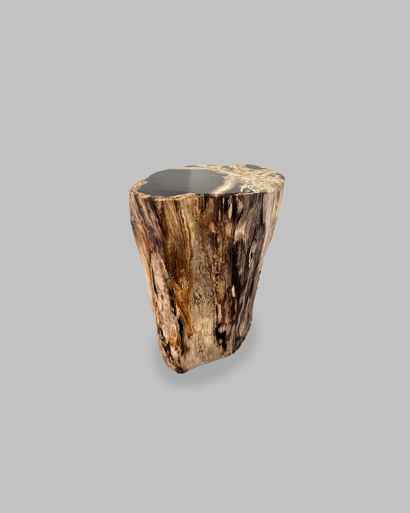 Petrified Stump 86