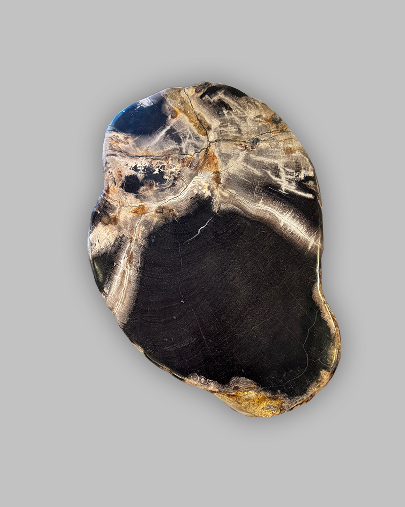 Petrified Stump 86