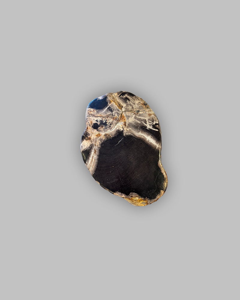 Petrified Stump 86