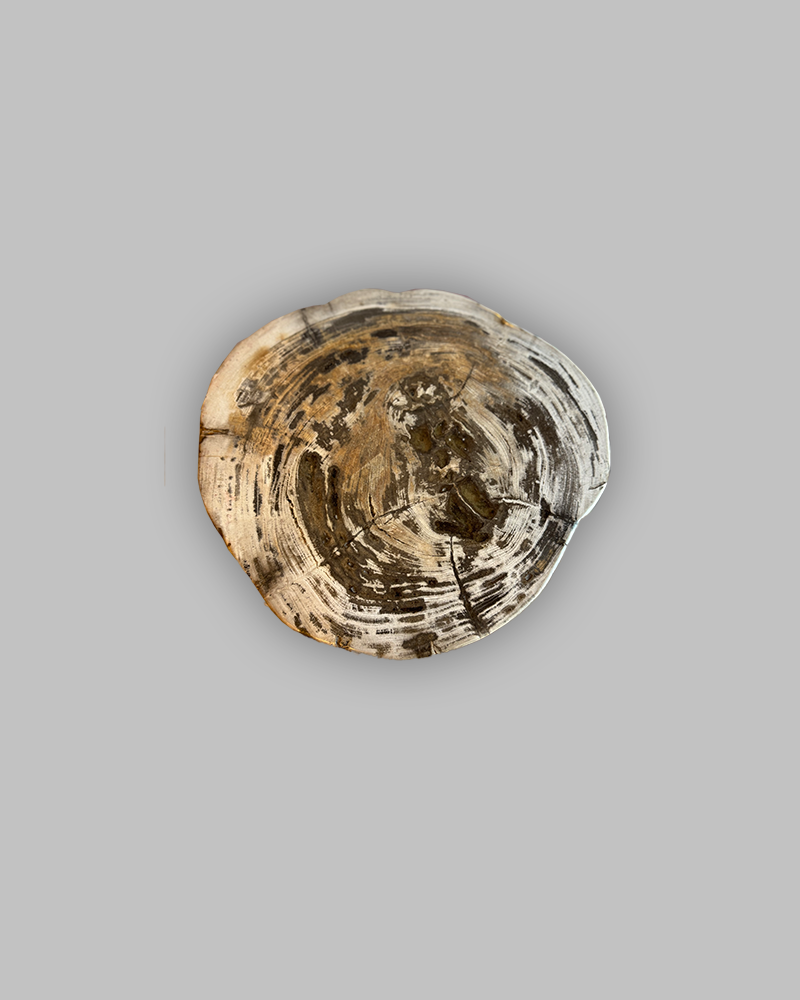 Petrified Stump 87