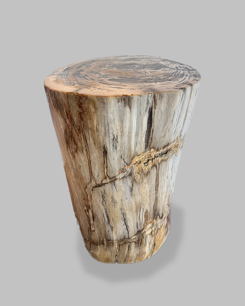 Petrified Stump 87