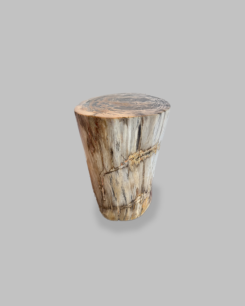 Petrified Stump 87