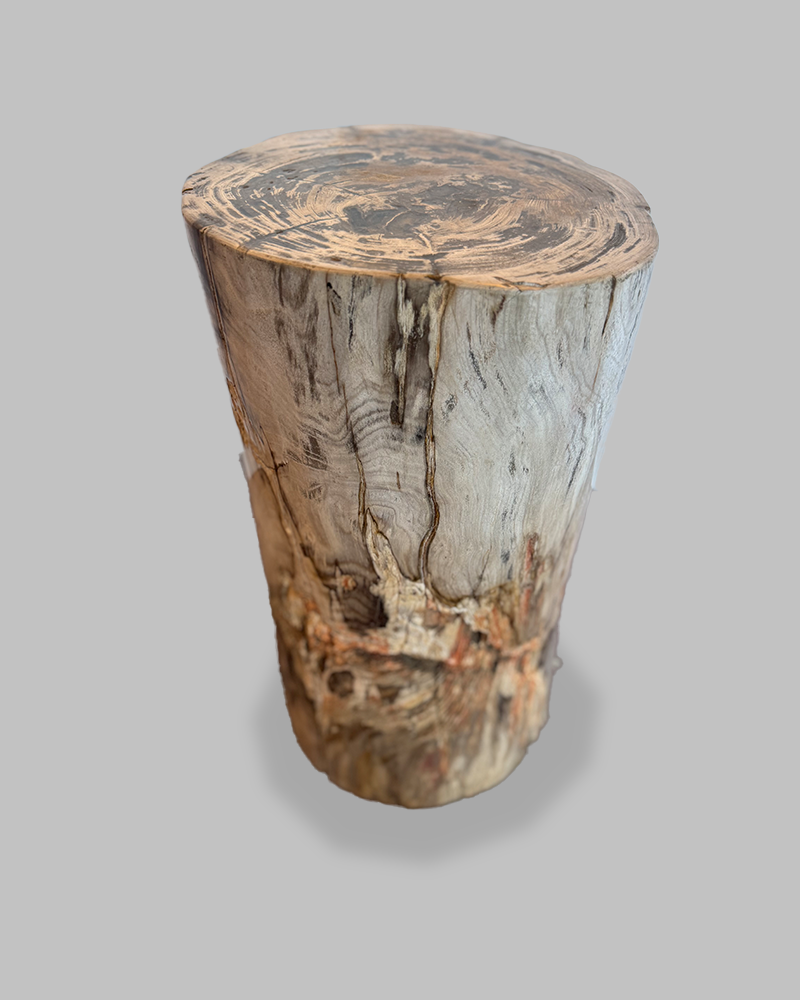 Petrified Stump 87