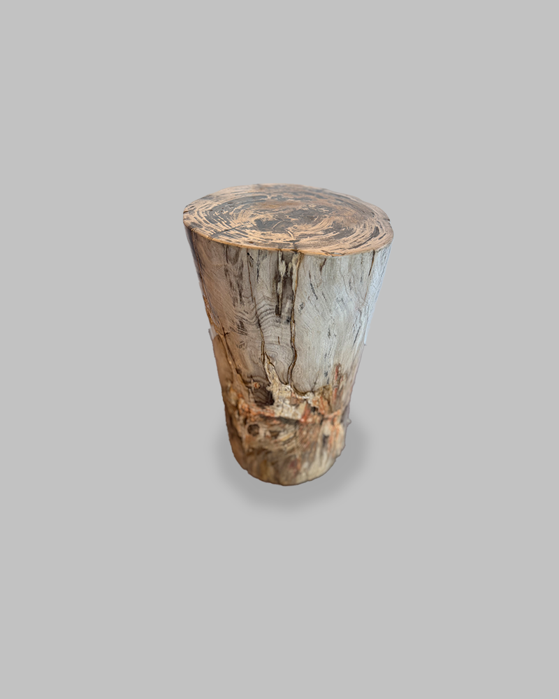 Petrified Stump 87