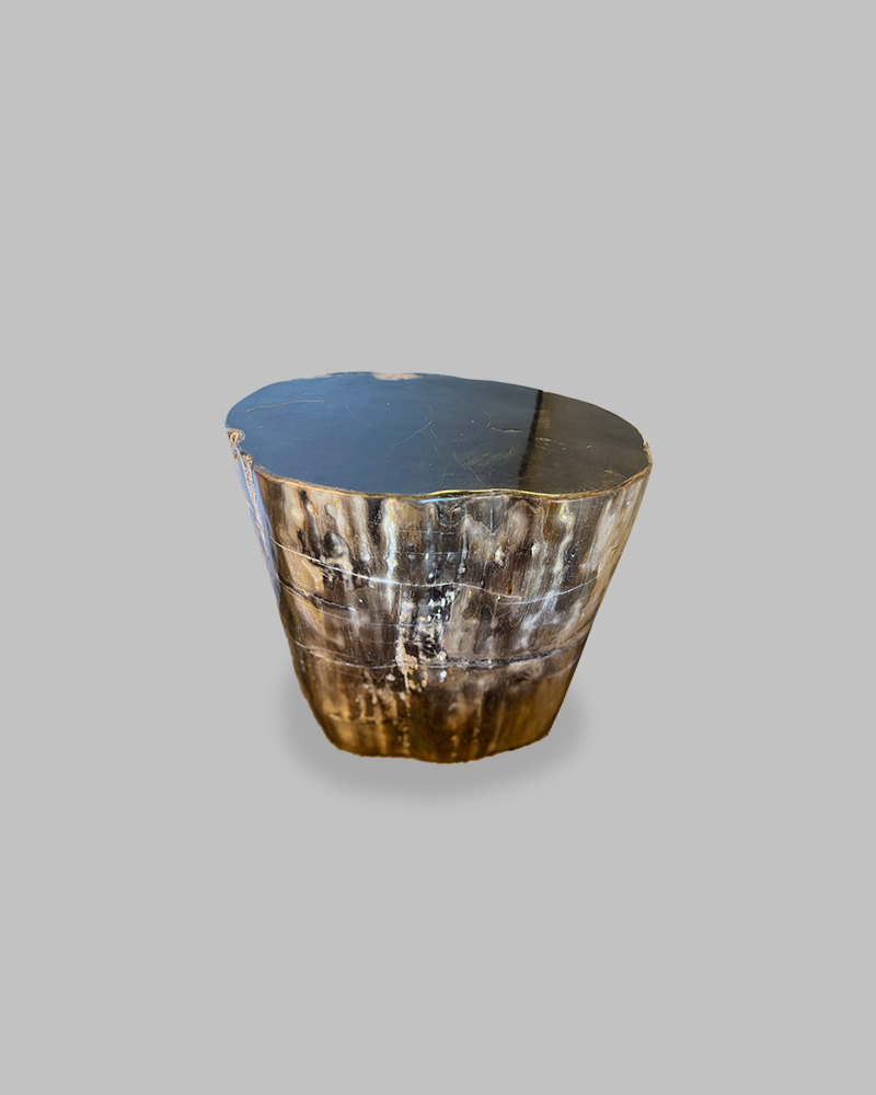 Petrified Stump 88