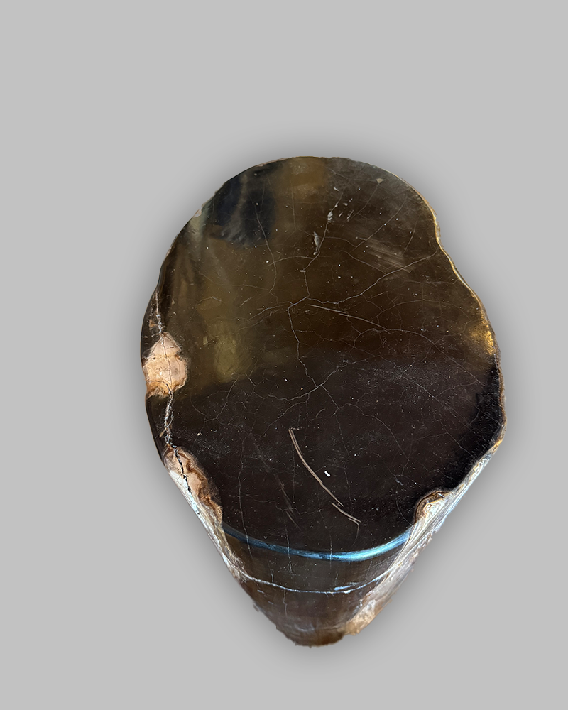 Petrified Stump 88