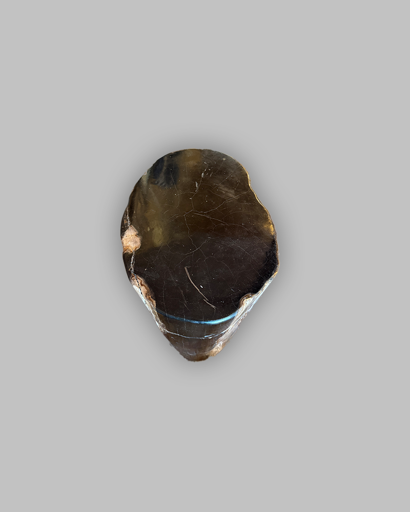 Petrified Stump 88