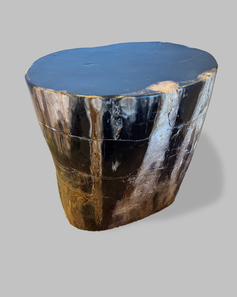 Petrified Stump 88
