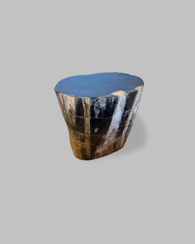 Petrified Stump 88