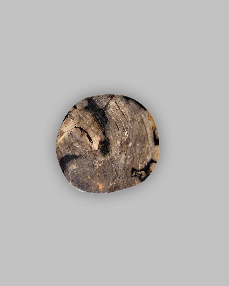 Petrified Stump 82