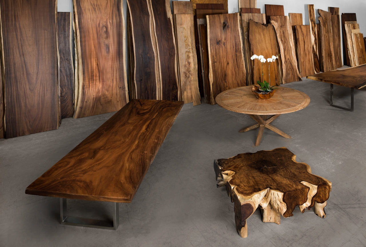 <h1>Step Into Our World</h1>