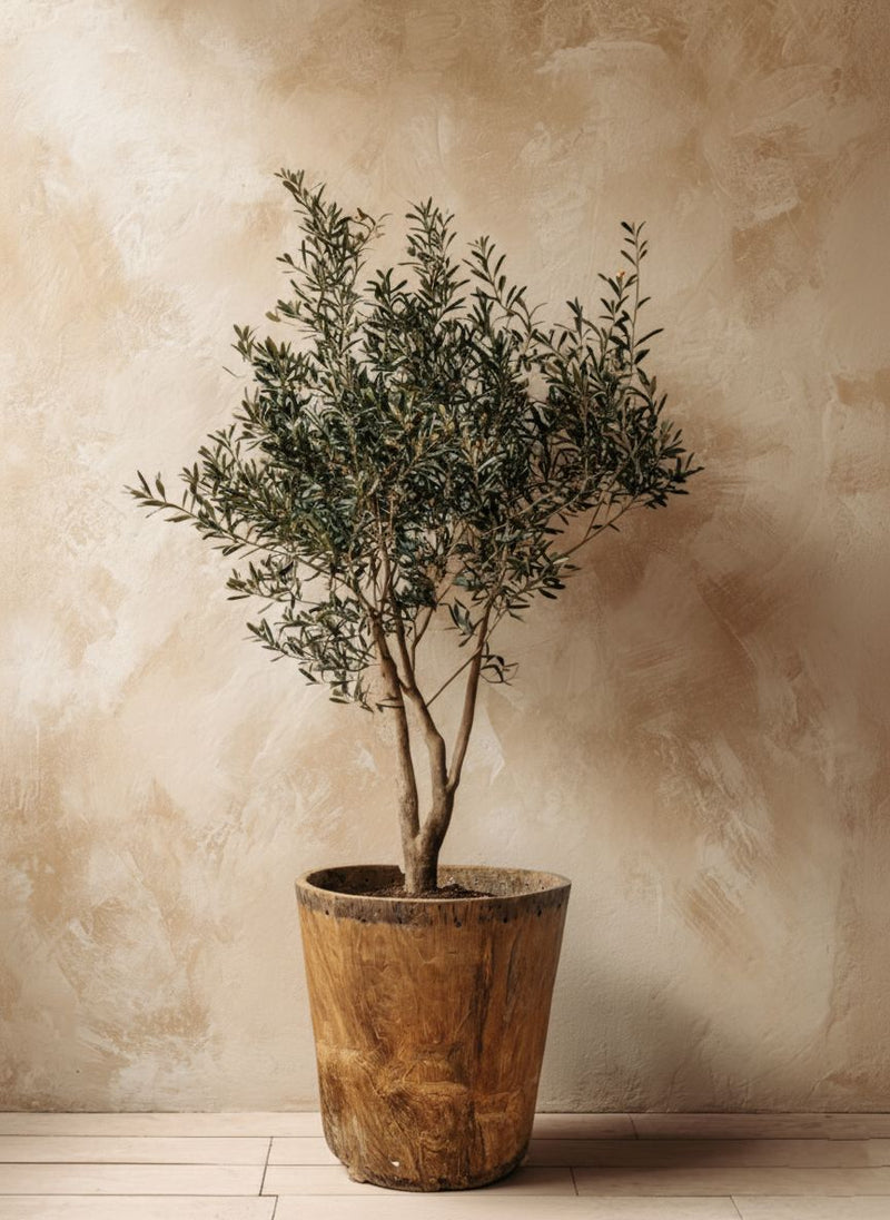 Pots, Planters, and Drums