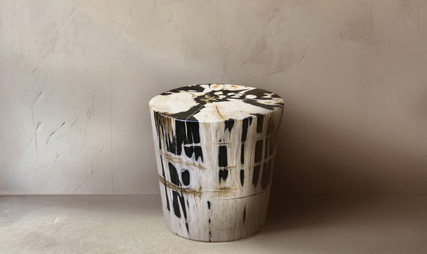 <h2>Petrified Wood</h2>