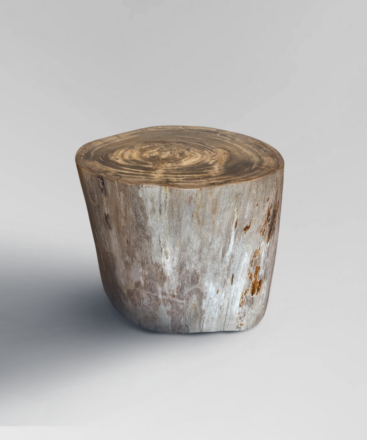 Petrified Stump 3