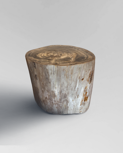 Petrified Stool 3