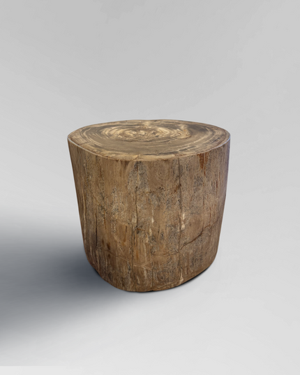 Petrified Stool 3