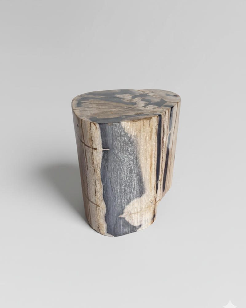 Petrified Stump 10