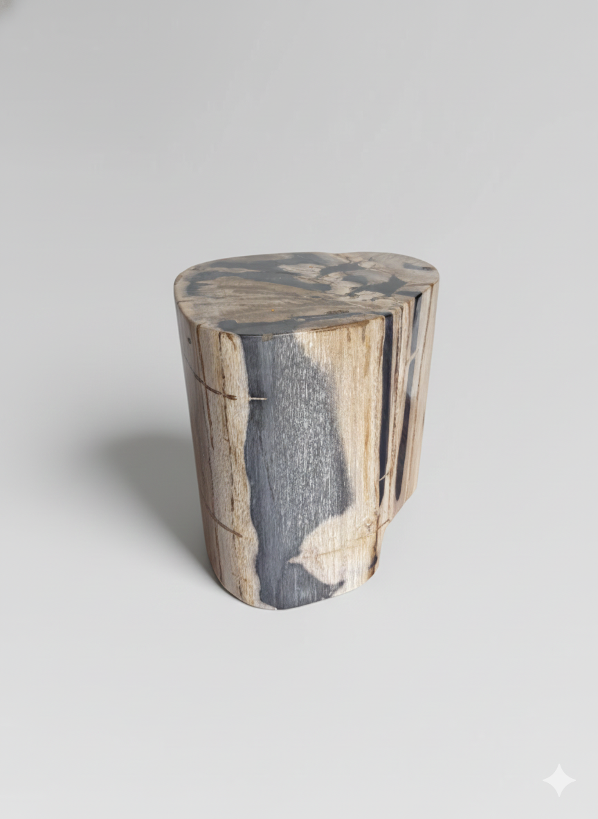 Petrified Stump 10