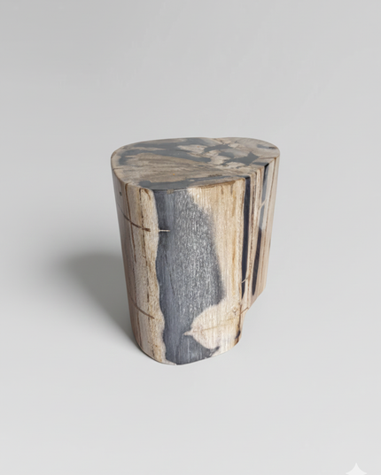 Petrified Stool 10