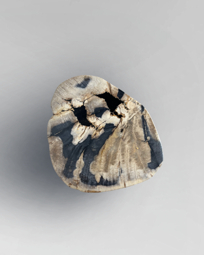 Petrified Stump 10