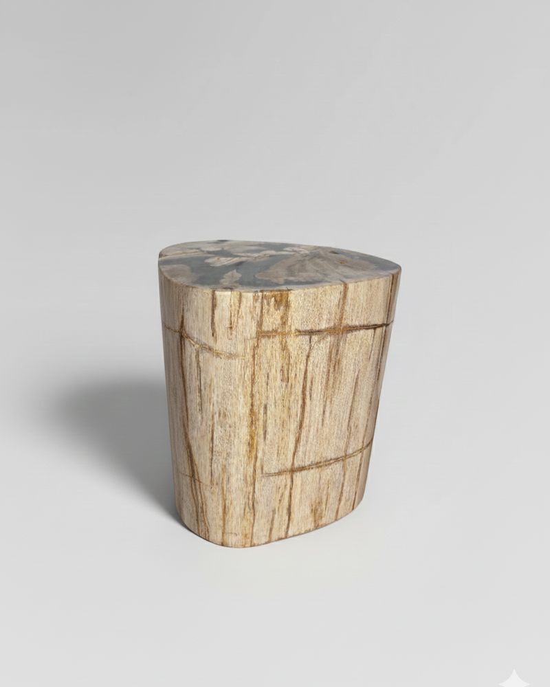 Petrified Stump 10