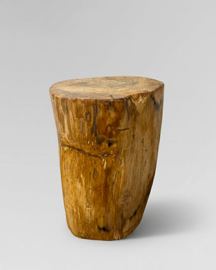 Petrified Stool 11