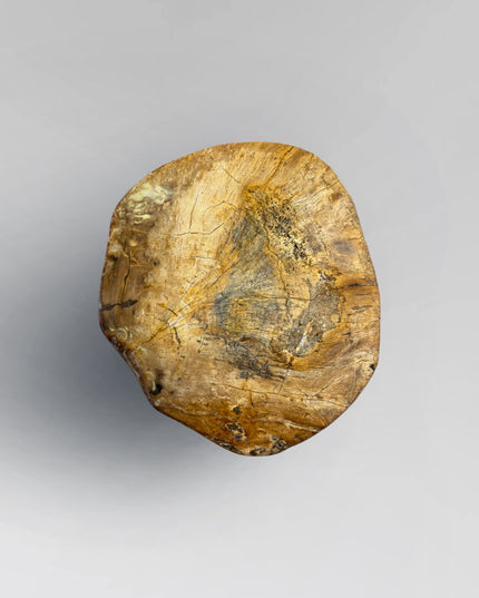 Petrified Stool 11