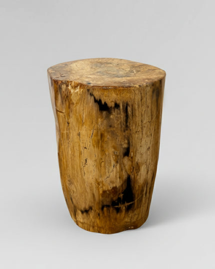 Petrified Stool 11