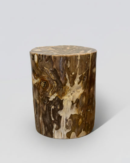 Petrified Stool 12