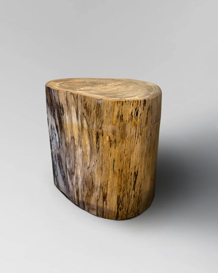 Petrified Stool 14