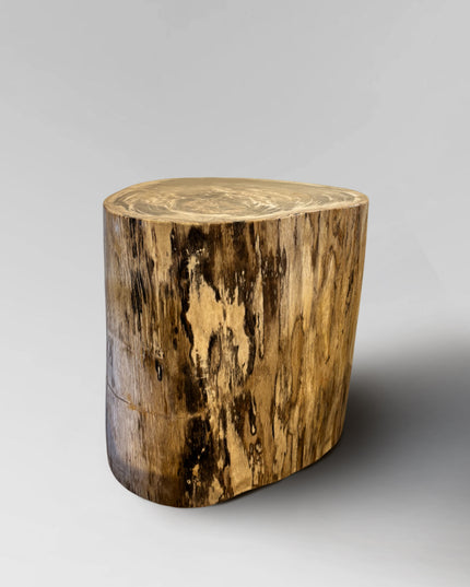 Petrified Stool 14