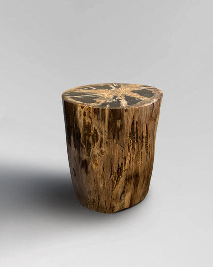 Petrified Stool 15
