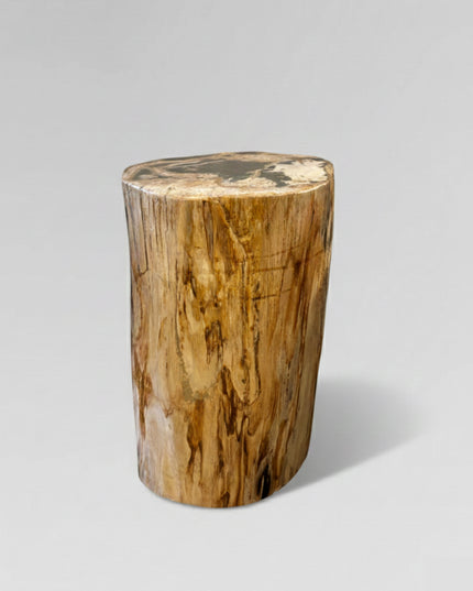 Petrified Stool 16