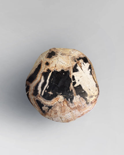 Petrified Stool 16