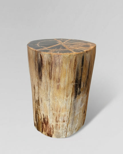 Petrified Stool 17