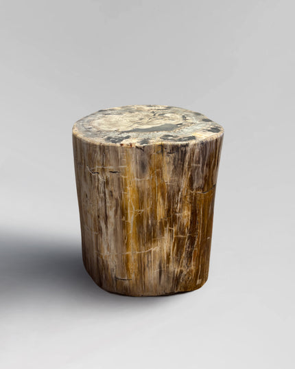 Petrified Stool 18