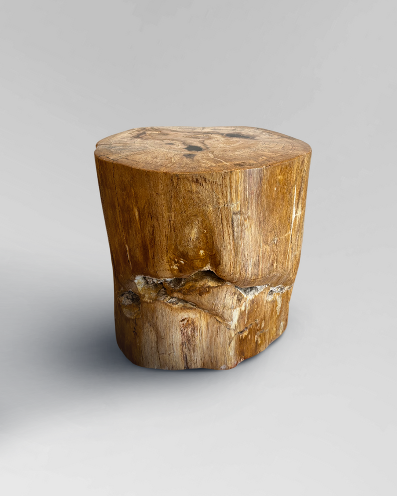 Petrified Stump 2