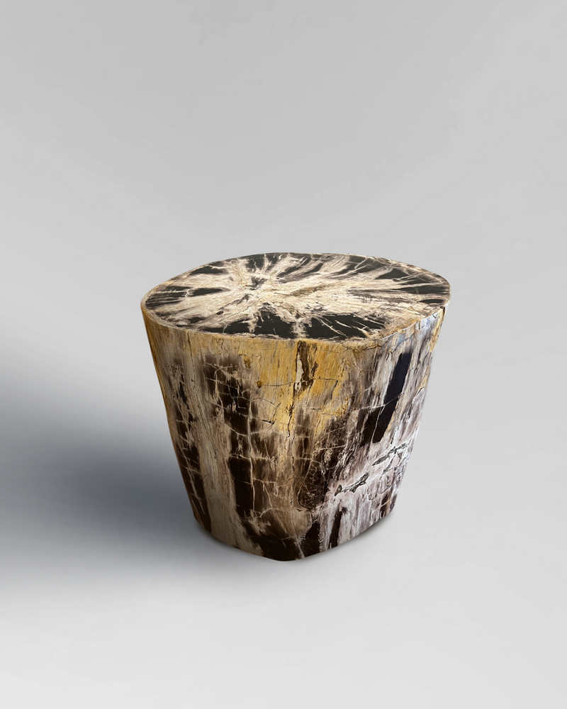 Petrified Stump 1