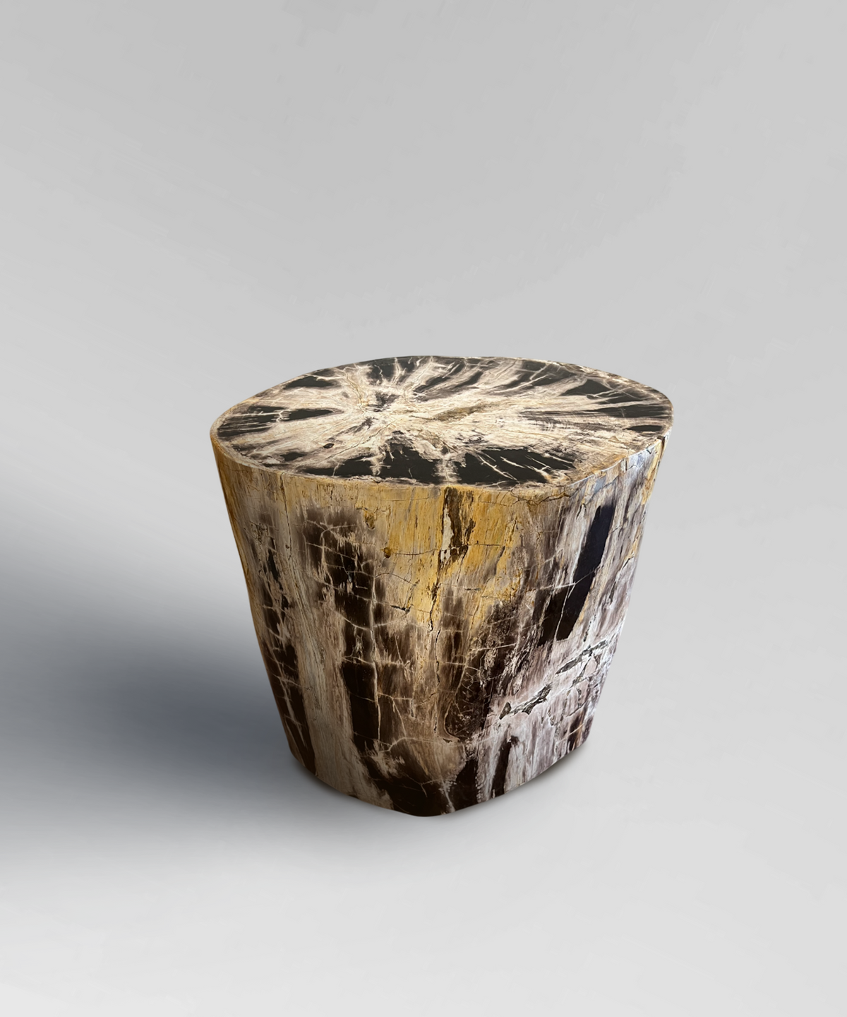 Petrified Stump 1