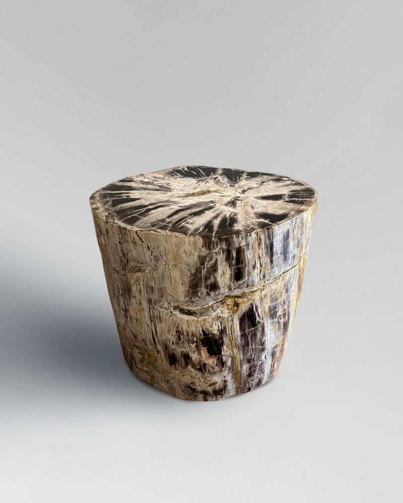 Petrified Stump 1
