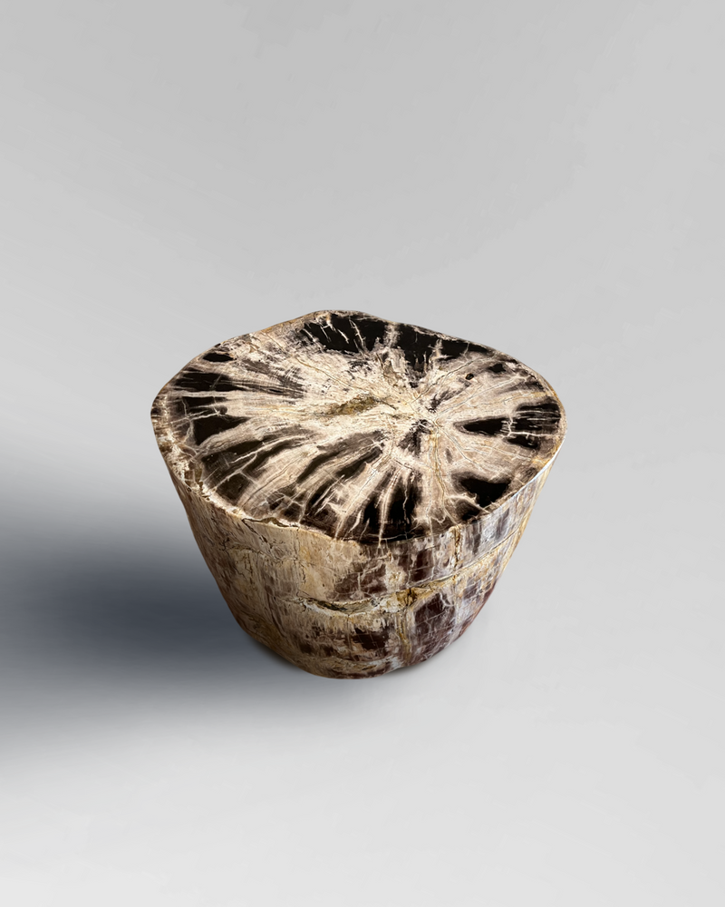 Petrified Stump 1