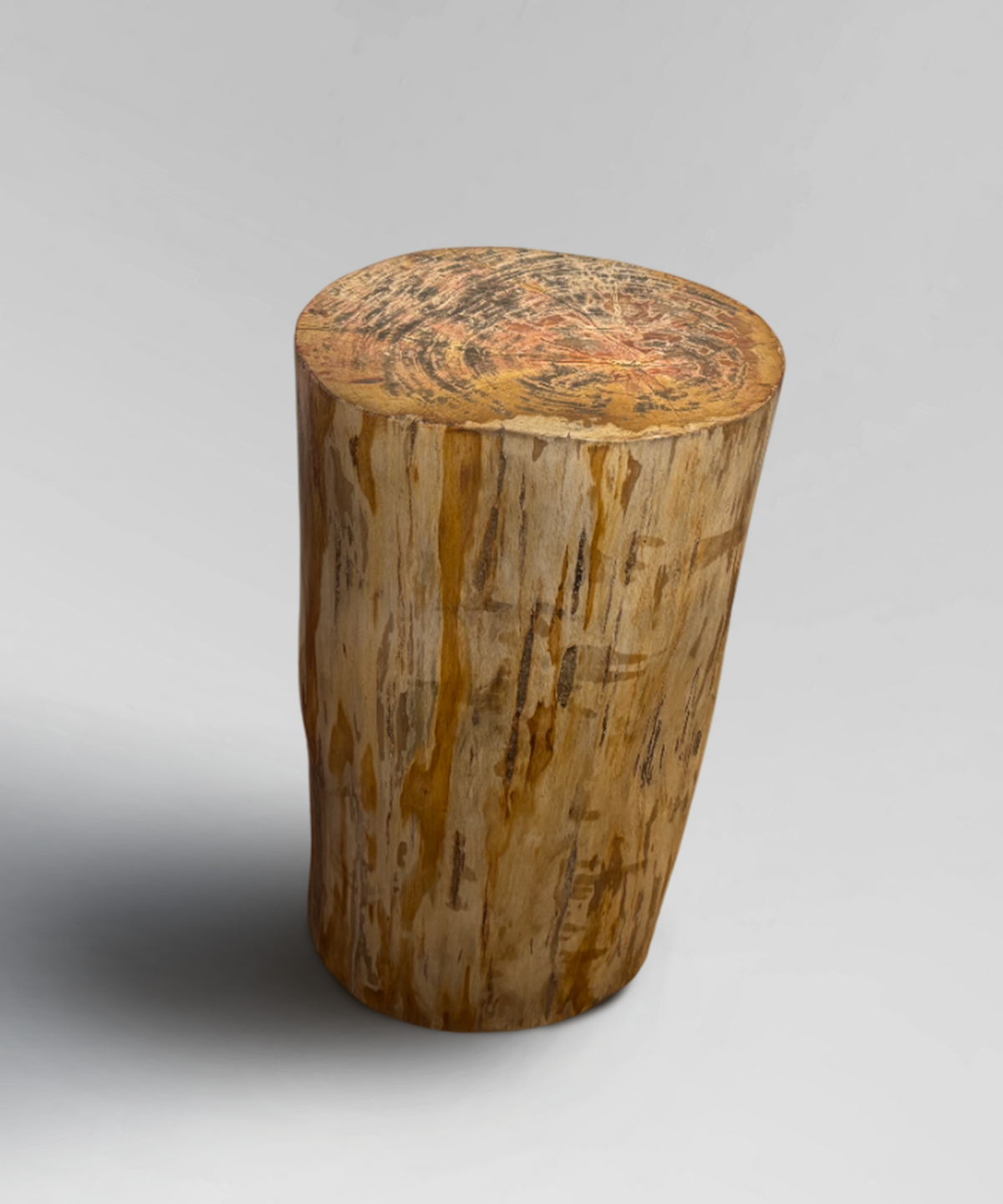 Petrified Stump 4