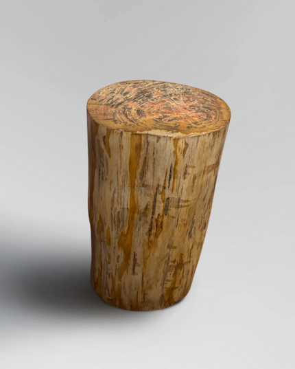 Petrified Stool 4