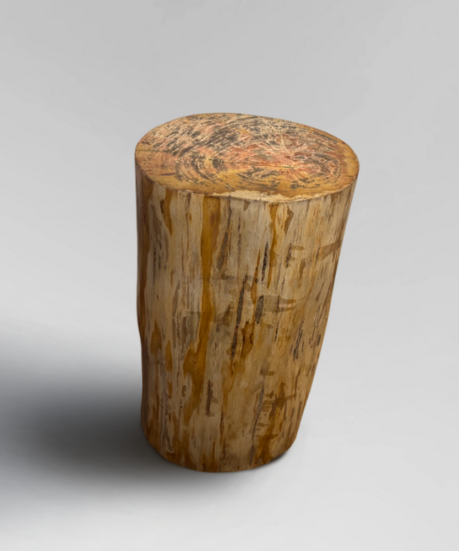 Petrified Stool 4