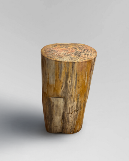 Petrified Stool 4