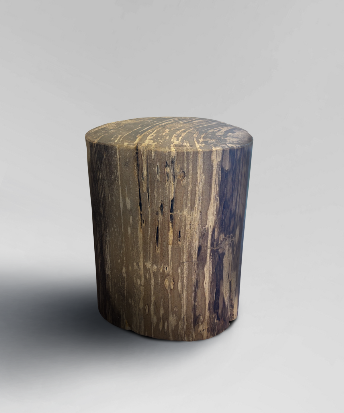 Petrified Stump 5