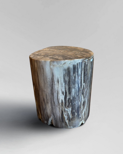 Petrified Stool 5