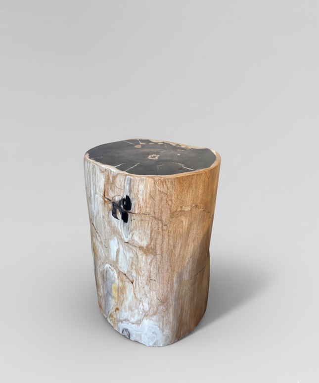 Petrified Stool 6