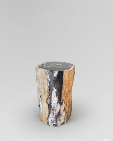 Petrified Stool 6