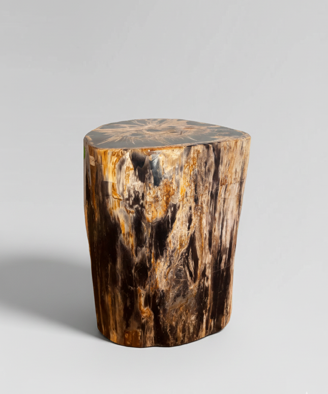Petrified Stool 7